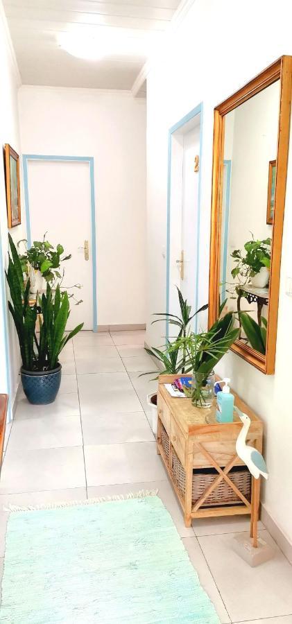 Home & Flower - Private Bedrooms Funchal المظهر الخارجي الصورة