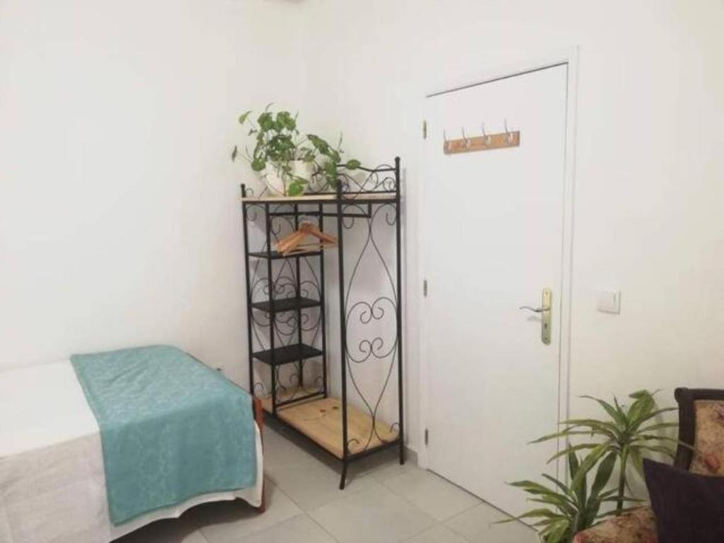 Home & Flower - Private Bedrooms Funchal المظهر الخارجي الصورة
